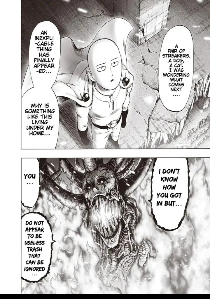 One Punch Man Chapter 107 | Read Full Online Manga 20 one punch man ch107 page20
